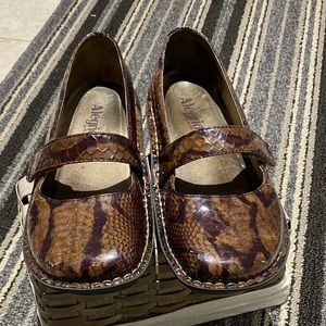 Alegria Feliz Chocolate Brown Snake Skin Clogs